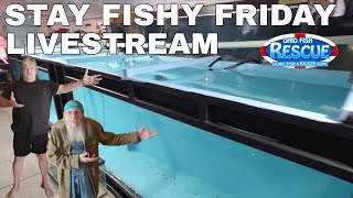 Stay Fishy Friday livestream  9/19/25
