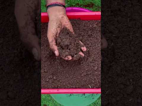 New technique for making organic fertilizer #organicgardening #fertilizer #farming #viral #shorts