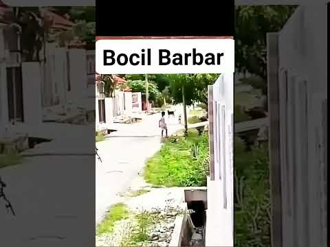 Bocil pemberani