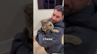 I DIDN’T EXPECT THIS TO HAPPEN! #pets #cat #love #funny #youtubeshorts #viralvideo #cute #foryou