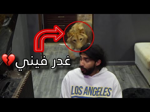 يوم طبيعي مع اسد😂! اخطر أنواع لعب ممكن تشوفها