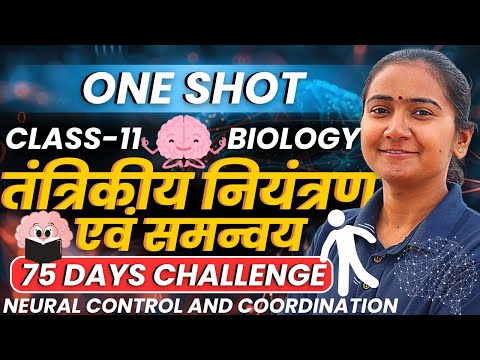 अध्याय-18, तंत्रिकीय नियंत्रण एवं समन्वय | One Shot Revision | Class-11 Biology |कक्षा-11 जीवविज्ञान