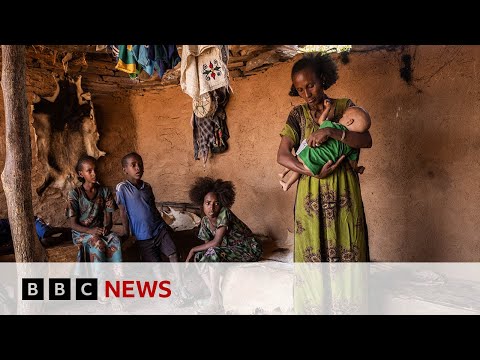 Ethiopia: Satellite images and doctor testimony reveal hunger crisis | BBC News