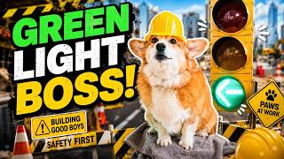 Officer Hammy Is Controlling Traffic 🚦🐶😂