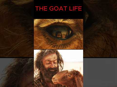 ആ ചോദ്യത്തിൻ്റെ ഉത്തരമിതാ / aadijeevitham #shorts #thegoatlife