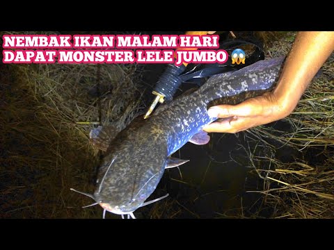 Nembak Ikan Malam Hari Dapat Ikan Monster Penunggu Parit Kecil 😱😱