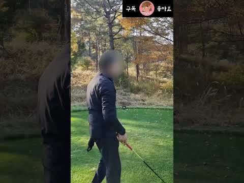 참다못한 캐디언니의 한마디... 은근 킹받는데 인정할 수밖에 없네...ㅋ