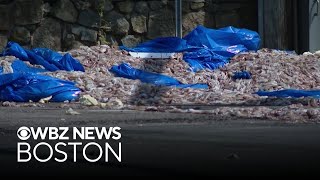 YouTube video thumbnail: 40,000 Pounds of Squid Spills Onto Rhode Island Road