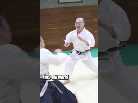 Unpredictable battle "Taido".