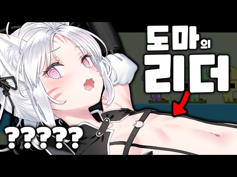 도마즈 첫 합방에서 리더로 뽑히다.