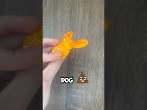 Smooth Propeller vs.  Rough Propeller