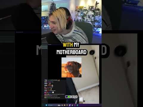 xQc viewer turned $300 to $3000