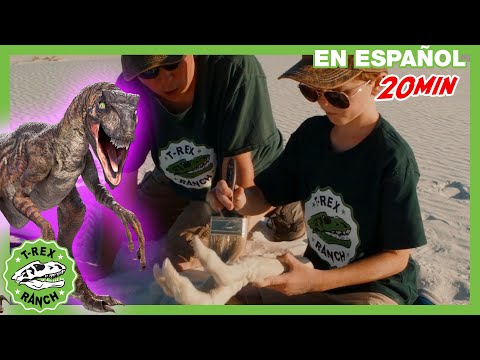 Parque de T-Rex | Huida divertida con dinosaurios Juguetes para niño