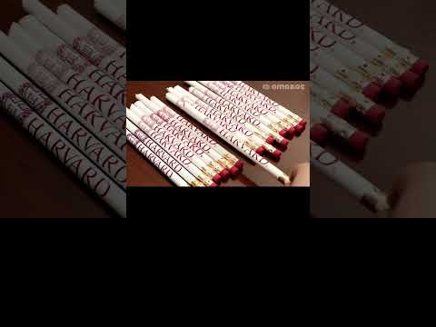 Harvard student's daily routine  #stopmotion #funny