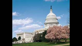 Opaque Shell Companies: A Risk to National Security, Public Health, and Rule of Law