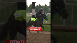 Is DANON BOURBON set to become Japan’s first Kentucky Derby winner? 🇯🇵🏇