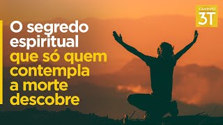 O segredo espiritual que só quem contempla a morte descobre. #segredosdedeus #despertar