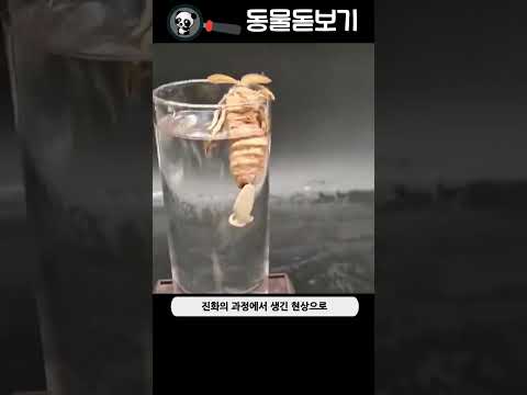 나방의 몸에서 나오는 이상한 액체의 정체는?