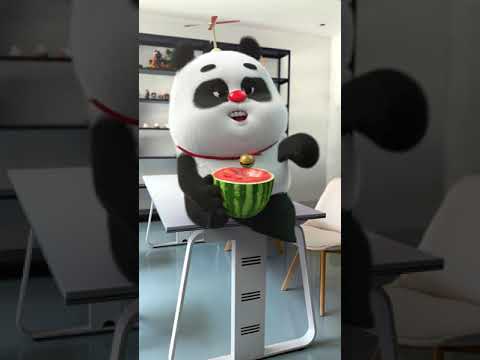 【熊猫班卜❤】It's SUMMER !!!! Bamboo loves watermelon🍉#panda #chinese #cute