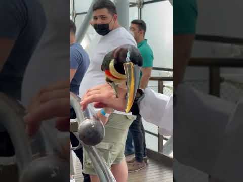 Самый необычный ЗООПАРК в мире!💩🦨 #оаэ #цены #дубай
