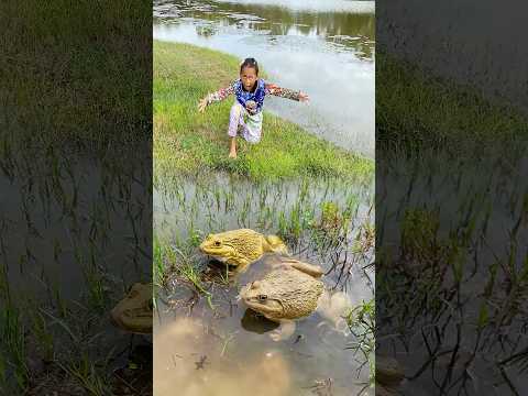 Survival Skills: SIMPLE and USEFUL with Frog trapping tool #survival #bushcraft #camping