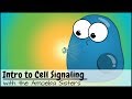 Cell Signaling Concepts and Mechanisms