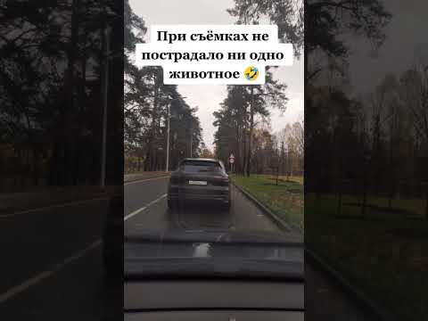 Разборки  на дороге