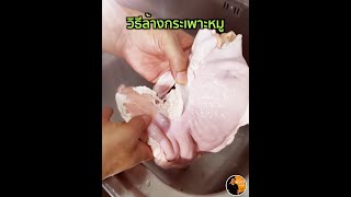 วิธีล้างกระเพาะหมู ทำวิธีนี้ ไม่มีกลิ่นสาบ กลิ่นคาว
