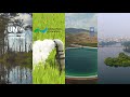 Integrated Water Resources Management Concepts