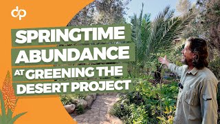 Springtime Abundance at the Greening the Desert Project