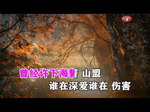 王爱华   一生最痛的爱   KTV