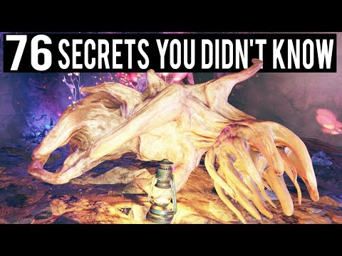 76 Secrets You Probably Didn't Know Existed in Fallout 76