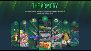 MY CS2 THE ARMORY EXPERIENCE