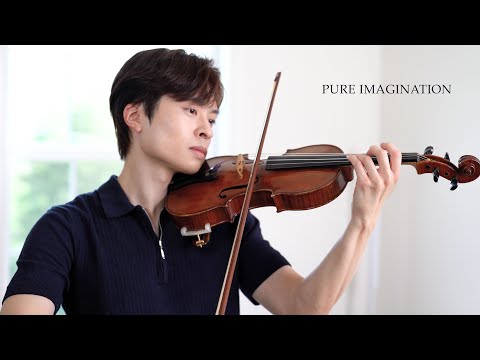 Pure Imagination - violin cover