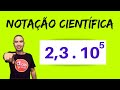 Scientific Notation Concepts and Applications