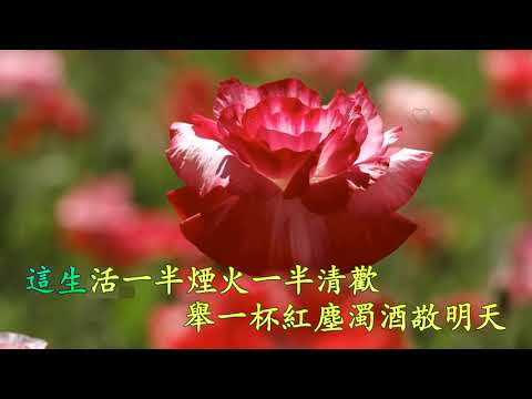 願你我皆安好 (伴奏 和聲) 洋瀾一 (Karaoke 純音樂)