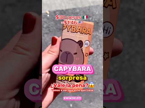 ¿FAIL o WIN?😅😅 #capibara #capybara #unboxing #ahorro #juguetes #gracioso #viralvideo