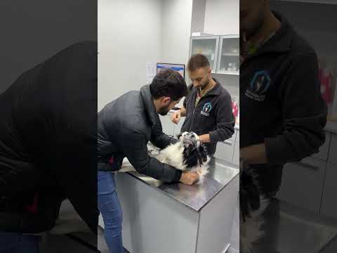 Dötü bozuk..