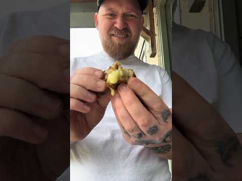 Mac n Cheese in a Sausage