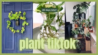 TikTok plants :)