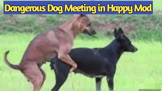 Dangerous Dog is Barking his Opponent