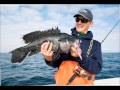 Chesapeake Bay Ecosystem Insights
