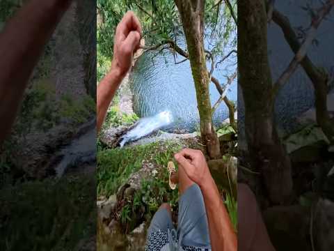 POV 31m jump other a waterfall with @insta360 Ace Pro 2