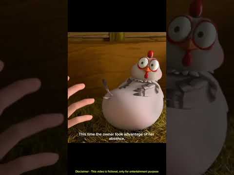 This chicken is taking care of her owner's baby because the owner took her egg.