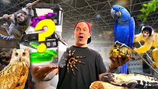 LE PLUS GROS SALON D’ ANIMAUX EXOTIQUES D’ASIE ( j ai craqué ) - TOOPET 