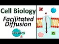 Cell Membrane Transport Mechanisms