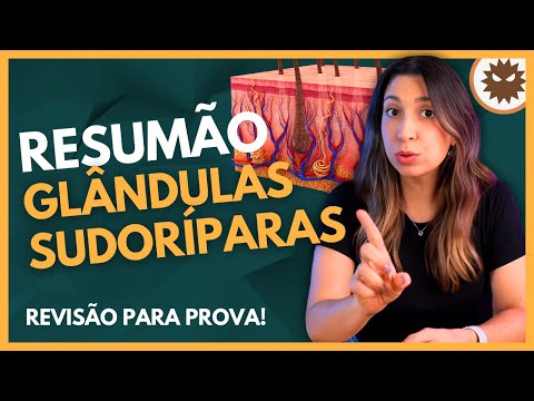 Resumão: GLÂNDULAS SUDORÍPARAS - Sistema Tegumentar