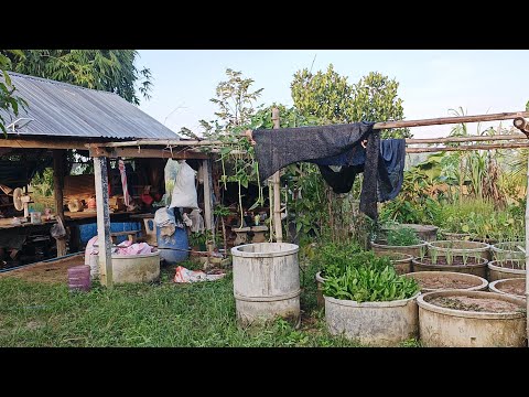 ความสุข ของคนทำเกษตร