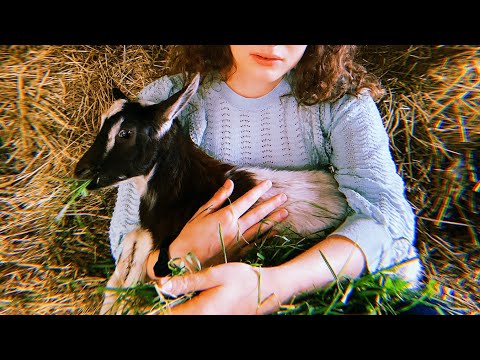 sanah - Pożal się Boże