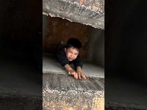Please…. save me #dog #dogvideo #lovedog #trendingshorts